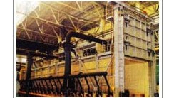 ȫ�w�Sȼ���_܇�t